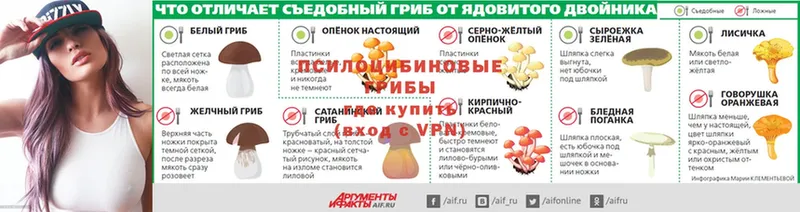 Галлюциногенные грибы GOLDEN TEACHER  как найти закладки  Мыски 